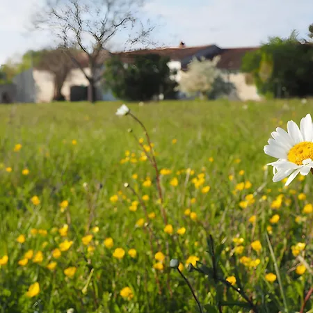 Le Fournil - Les Du Moulin *