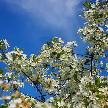 Le Fournil - Les Du Moulin Casa de Férias