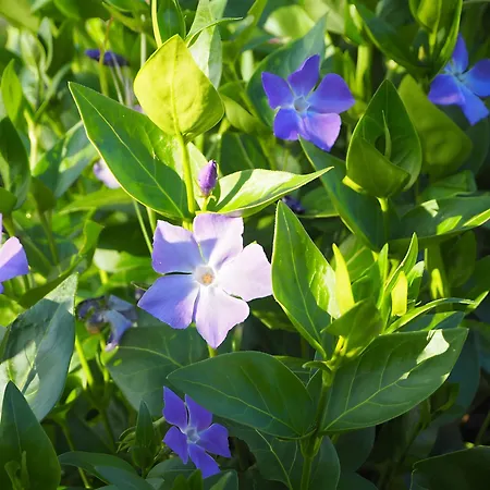 Le Fournil - Les Du Moulin *