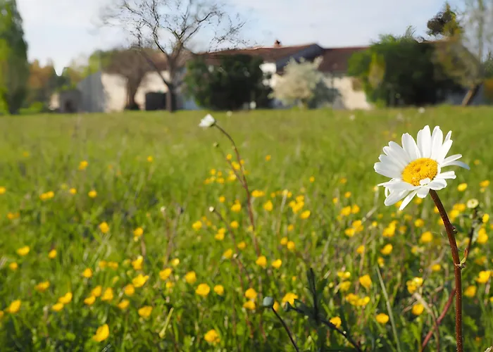 Le Fournil - Les Du Moulin *