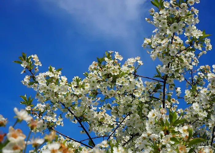 Le Fournil - Les Du Moulin Сasa de vacaciones