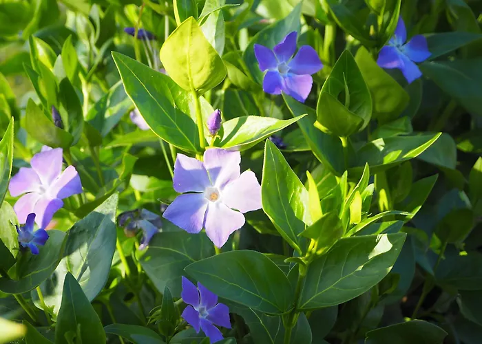 Le Fournil - Les Du Moulin *